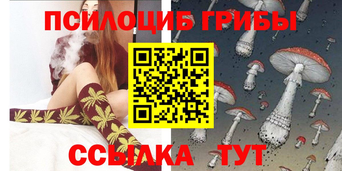 Приморско-Ахтарск  Псилоцибиновые грибы прущие грибы  цена наркотик  Вход с VPN 